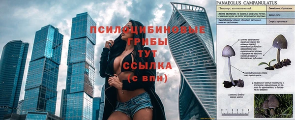 Альфа ПВП Алзамай