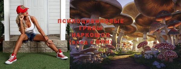 Альфа ПВП Алзамай