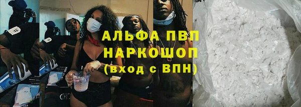 мяу мяу мука Инта